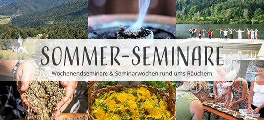 Sommerseminar 2024