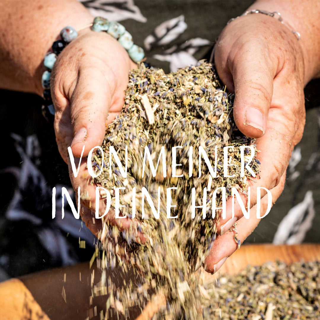 Sommerseminar in Südkärnten 2026