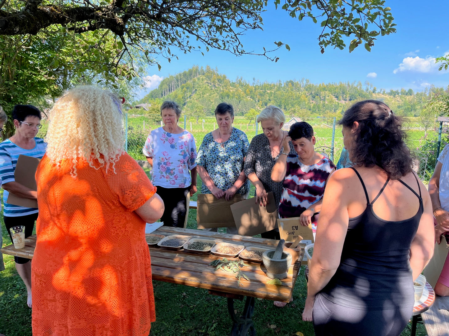 Sommerseminar in Südkärnten 2026